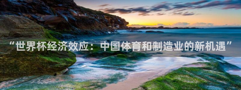 世预赛免费直播入口：“世界杯经济效应：中国体育和制造业的新机遇”