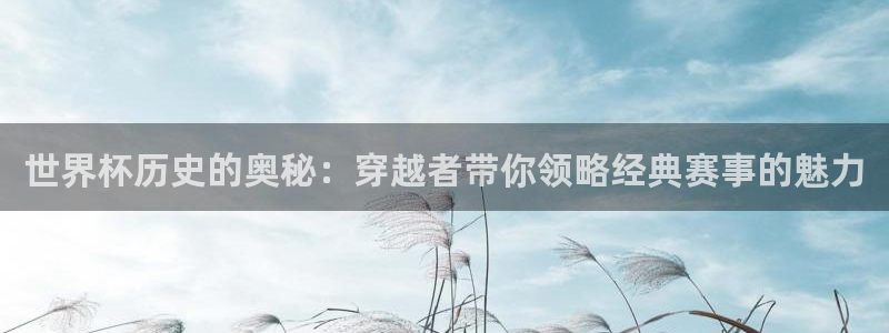 26世界杯：世界杯历史的奥秘：穿越者带你领略经典赛事的魅力