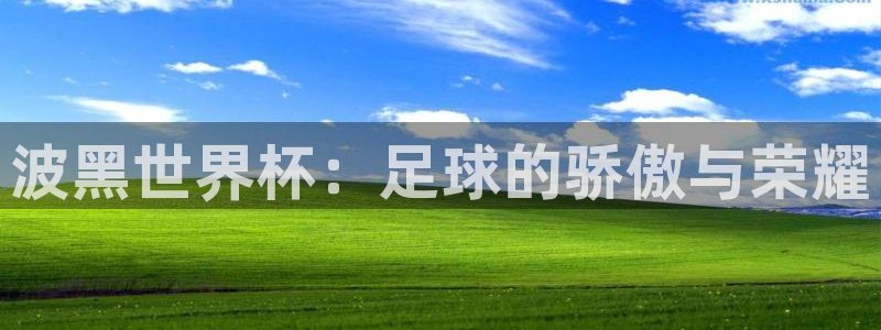 2026男足世界杯：波黑世界杯：足球的骄傲与荣耀