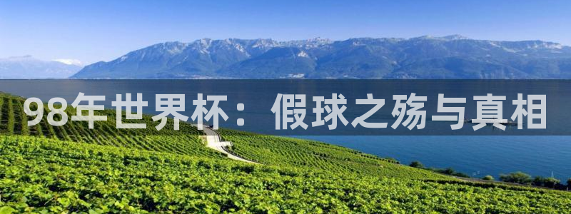 葡萄牙世界杯赛程：98年世界杯：假球之殇与真相