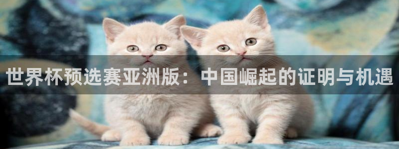 世界杯预选赛赛程时间表：世界杯预选赛亚洲版：中国崛起的证明与机遇