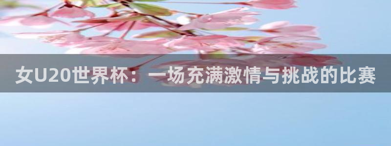 2026世亚预赛赛程表：女U20世界杯：一场充满激情与挑战的比赛