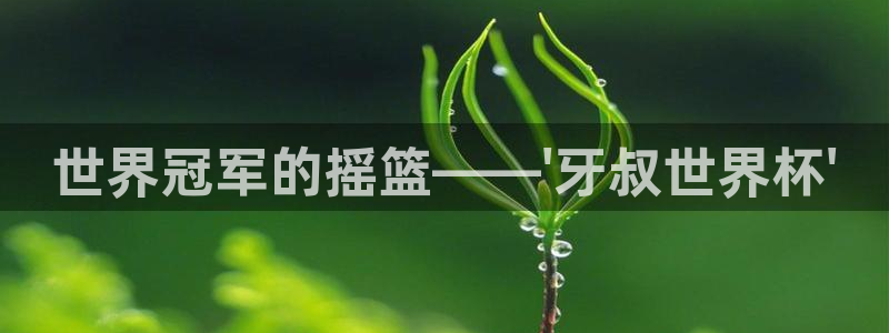 足球世预赛:世界冠军的摇篮——\'牙叔世界杯\'