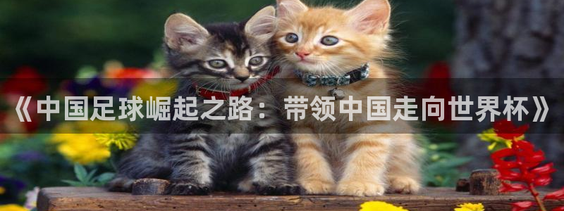 足球比分直播世界杯:《中国足球崛起之路:带领中国走向世界杯》