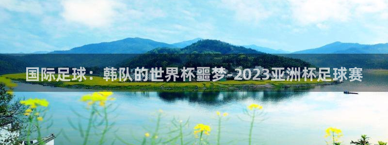 2026世界杯赛程：国际足球：韩队的世界杯噩梦-2023亚洲杯足球赛