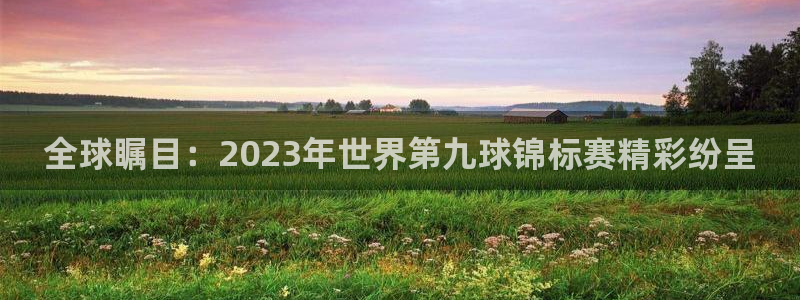 2026年世界杯赛程时间表格：全球瞩目：2023年世界第九球锦标赛精彩纷呈