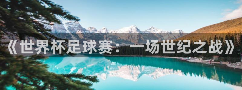 法国杯2026赛程表：《世界杯足球赛：一场世纪之战》