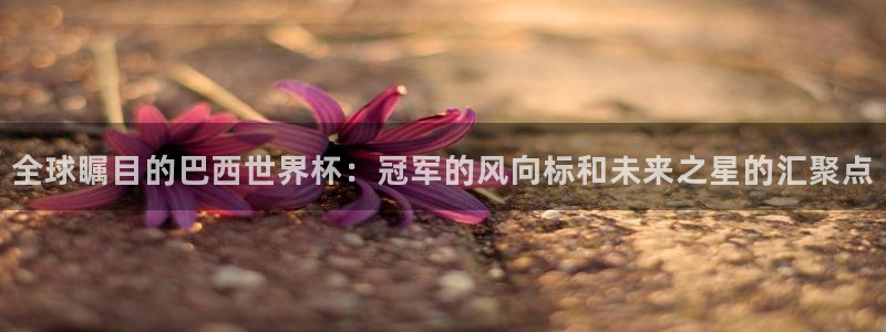 2026世预赛赛程：全球瞩目的巴西世界杯：冠军的风向标和未来之星的汇聚点