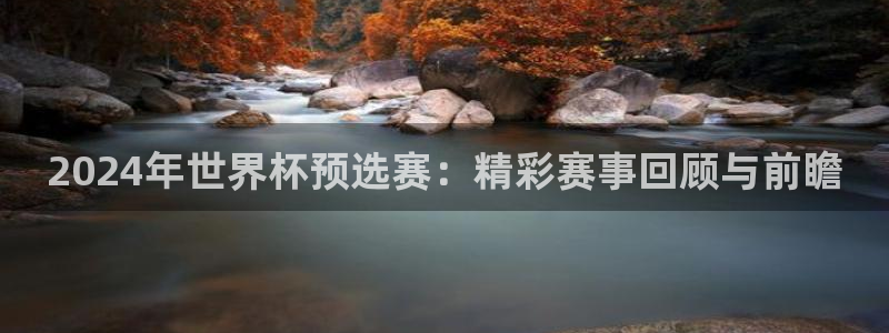 2026世界杯赛：2024年世界杯预选赛：精彩赛事回顾与前瞻