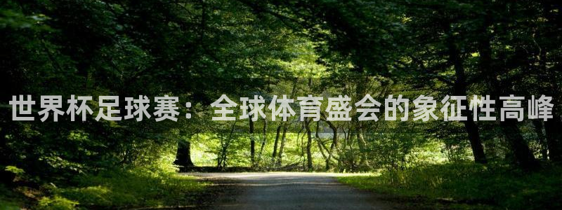 2026世界杯亚洲预选赛：世界杯足球赛：全球体育盛会的象征性高峰
