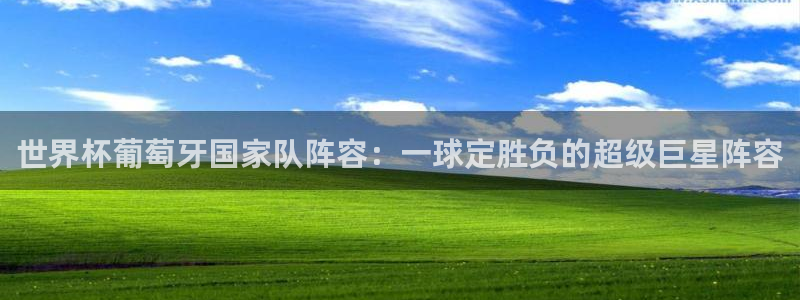 世界杯欧洲预选赛赛程：世界杯葡萄牙国家队阵容：一球定胜负的超级巨星阵容