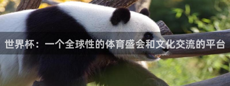 世界杯预选赛赛程时间表：世界杯：一个全球性的体育盛会和文化交流的平台