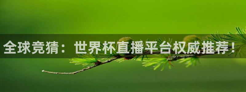 2026世界杯赛：全球竞猜：世界杯直播平台权威推荐！