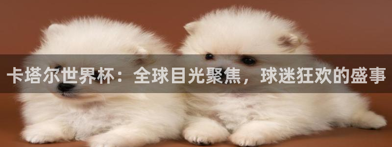 欧洲世界杯预选赛赛程：卡塔尔世界杯：全球目光聚焦，球迷狂欢的盛事